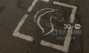 Казан үзәгендәге кибет парковкасында атлар өчен урын ясаганнар