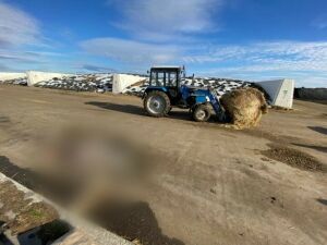 Татарстанда фермада бер хатынны трактор таптап үтергән