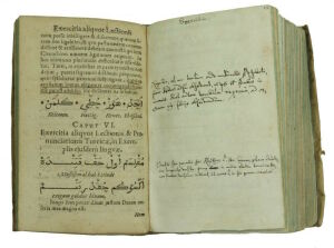 Иң беренче татар китабы тарихы: 1612 елда татар теле Европага ни өчен кирәк булган?
