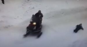 Зөя утрау-шәһәрчегендә кыз баланы бәрдереп киткән снегоход йөртүчесен эзлиләр - видео
