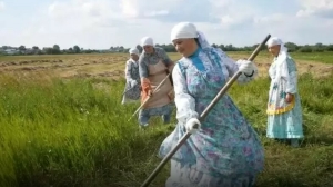 Түбән Кама районының Каенлы авылында милли киемнәр киеп печән чабарга чыкканнар – видео