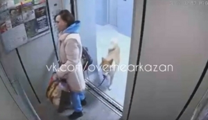 Казанда лифтка эте белән керергә маташкан кыз һәлак була язган – видео