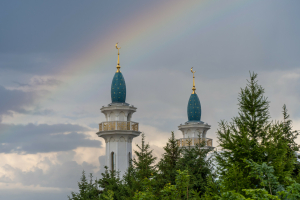 Корбан нисабы ничә сум, Казанда кайда корбан чалдырып була?