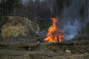 Әнисе белән әтисе кырда җиләк җыеп йөргәндә, нәни кыз машинада янып үлгән