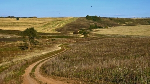 Татарстанда иң күп уңыш җыйган районнар исемлеге