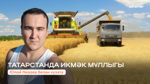 Икмәк үстерүчеләр: «Бәя нык түбән булу сәбәпле, чәчүлек мәйданнарын киметергә ниятләдек»
