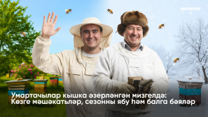 «Беренче суыклар булмыйча, ояларны кертмибез»: Умартачылар кышка әзерләнә