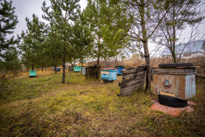 Умарталарны кышка әзерләү өчен киңәшләр