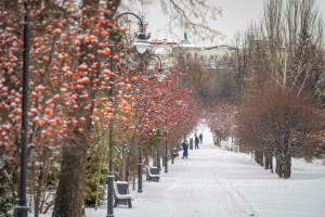 «Һава торышы аномалиясе»: Татарстанга кайчан кыш киләчәк һәм кар явачак?