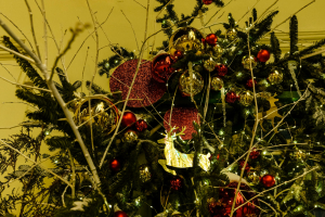 Татарстанда Яңа ел бәйрәмнәренә 2 меңләп чыршы әзерләгәннәр