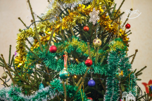 Тере чыршы өйдә озак торсын өчен нишләргә?