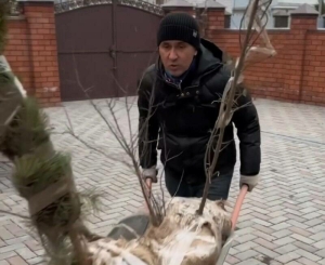 Әллә чын, әллә ялган: Булат Бәйрәмов белән Ләйсән Гыймаева кыш көне агач утыртып йөри