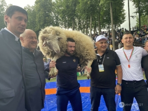 Казанның Тынычлык бистәсе Сабан туеның баш батыры билгеле