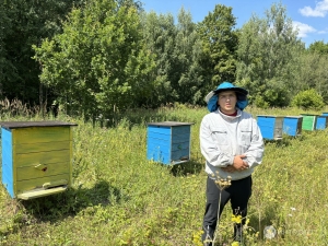 «Намуслы умартачы табып кына әйбәт бал ашап була»: Балны ничек сайларга һәм бәясе күпме?