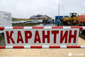 Сарман районында котыру авыруы ачыклану сәбәпле, карантин игълан ителде