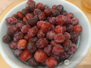 Сливадан гади кайнатма рецепты