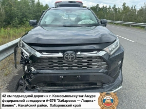 Автотрассага чабып чыккан аю машинага бәрелеп үлгән