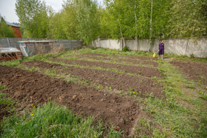 Түтәлләрне яңа сезонга ничек әзерләргә?