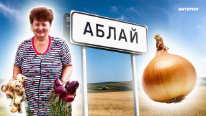 Юктыр әле күргәнең, бу кадәр суган үстергәннәрен: Аблай суганы феномены