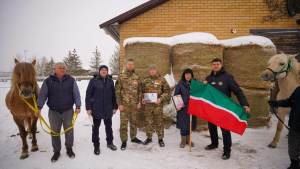 Татарстаннан Донецк Халык Республикасына хәрбиләргә ярдәмгә атлар җибәрделәр