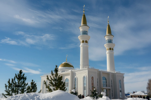 Уразаның файдасы