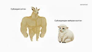 Сарык асраучы фермерлар: «Кәҗә - мал түгел, дисәләр дә, субсидия бирелә, безгә дә кирәк»