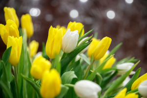 Юрист алдагы ялларда эшләгән өчен арттырылган хезмәт хакы түләнүен искәртә