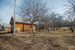 Бакчада агачларны кискән өчен штраф салулары ихтимал