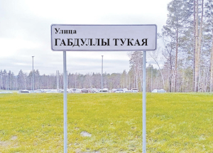 Ульяновск Татар мәдәни үзәгендә эшләүче Алсу Альметова: «Тукай урамында яшәү - горурлык»