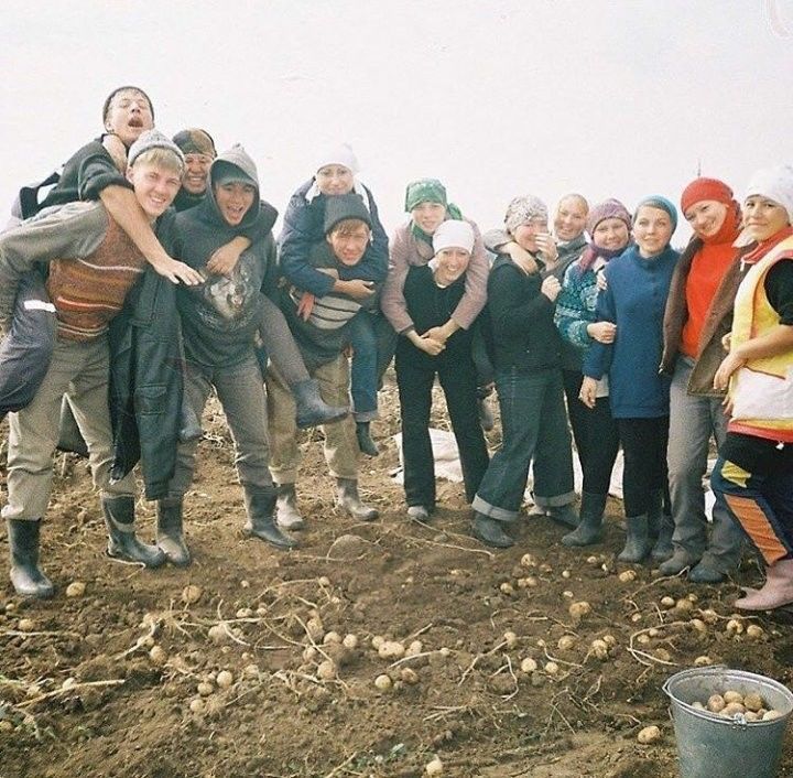 Әбри Хәбриев әрмәннәр белән бергә колхоз бәрәңгесен урлавын таныган