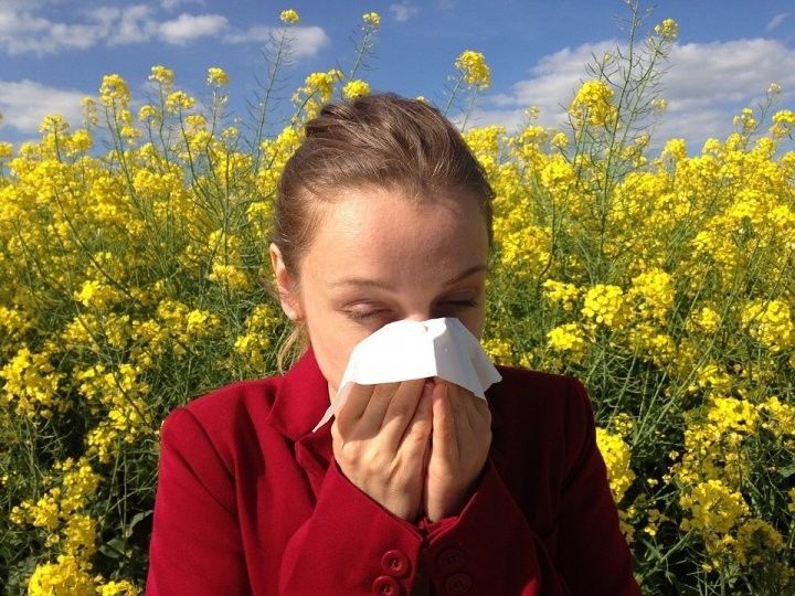 Аллергияне салкын тиюдән ничек аерырга?