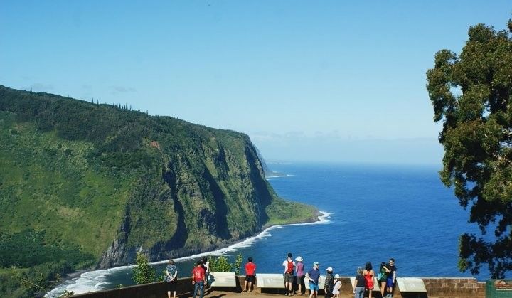 Гавай утрауларына баручы туристларны кешенең баш миен ашый торган суалчан турында кисәтәләр