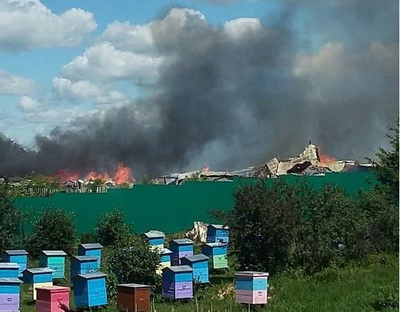 "Бернәрсәбез дә калмады, бары тип-тигез җир..." Кече Елга авылында янгыннан зыян күрүчеләр авылдашларына рәхмәтләрен җиткерде 