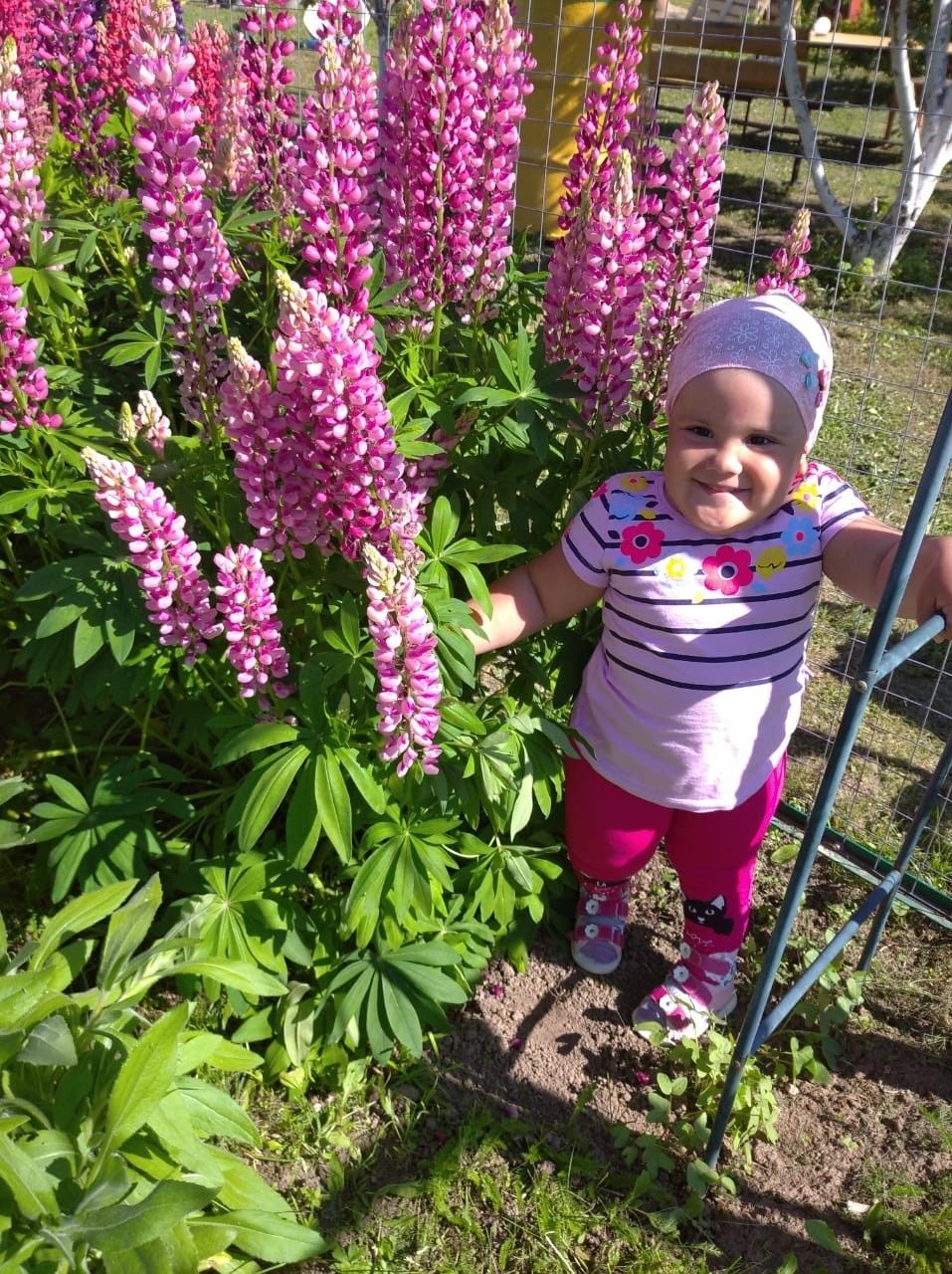  «Балагыз бөтенләй йөрмәячәк, өмет итмәгез»: Сәйдә Йосыповага ярдәм кирәк