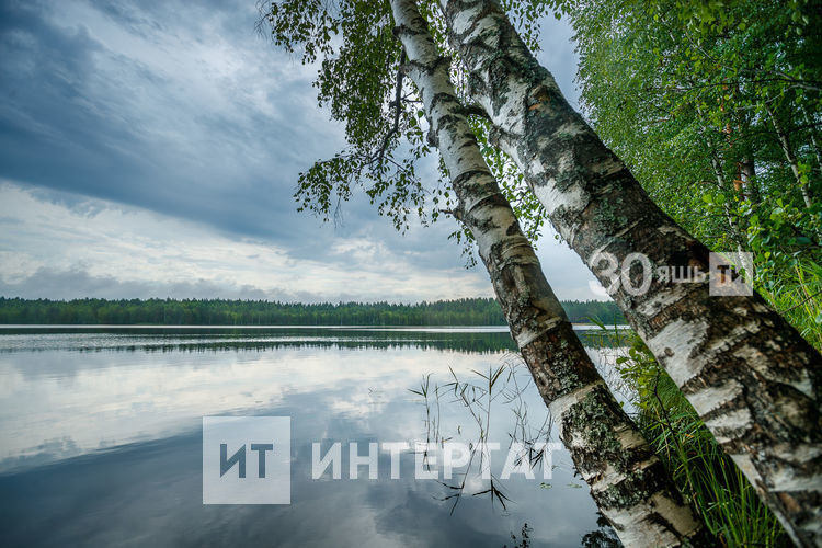 Табигать могҗизалары, яки мари урманнарындагы сихәтле күлләргә сәяхәт