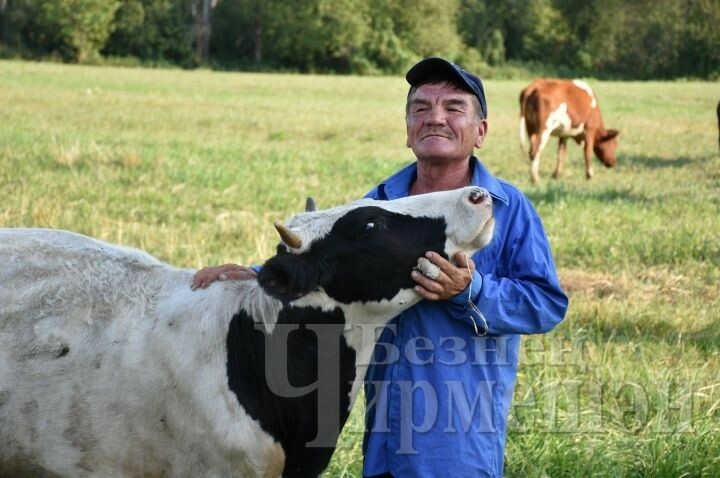 Полиглот көтүче: «Көтүченең йөрәге киң булырга тиеш» – «Безнең Чирмешән» газетасы