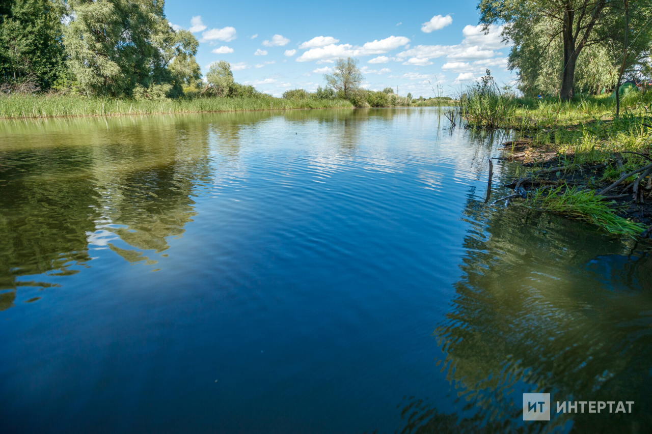 Абдулла авылындагы елгада гигант җәен балага һөҗүм иткән