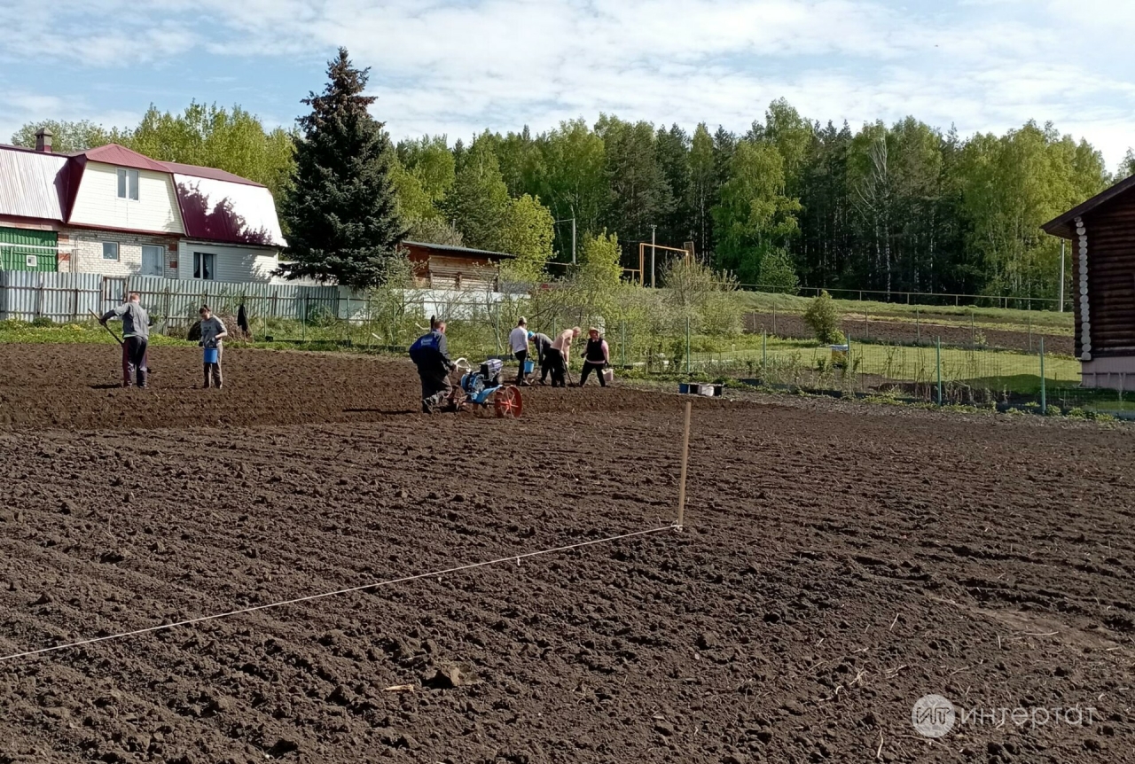 Бакча эшләренең психикага нинди йогынтысы бар?