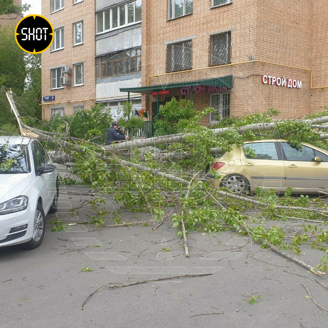 Мәскәүдә карлы давыл котыра: балконнарны җимерә, машиналарга агачлар аудара