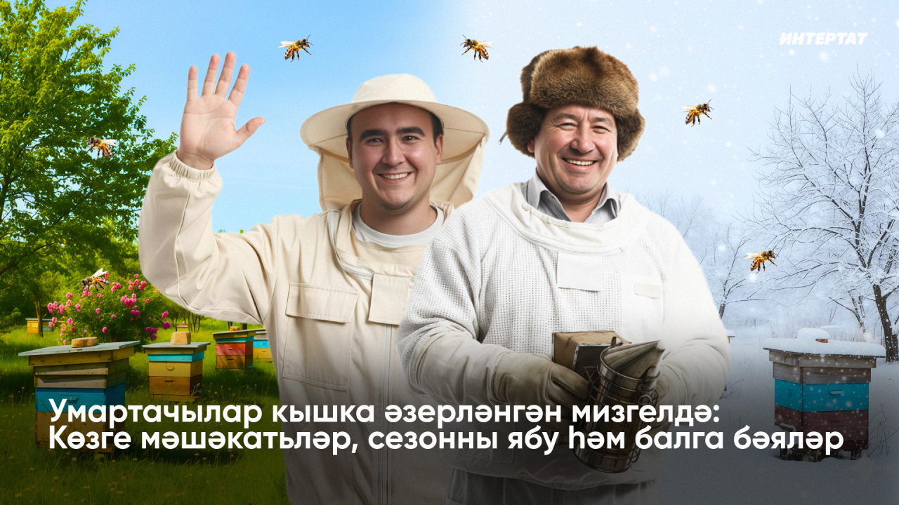 «Беренче суыклар булмыйча, ояларны кертмибез»: Умартачылар кышка әзерләнә