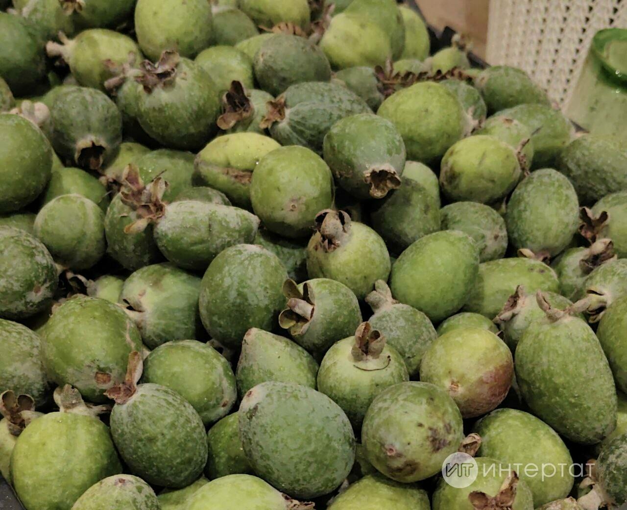 Фейхоа кайнатмасын нинди авырулар булганда кулланырга ярамый?