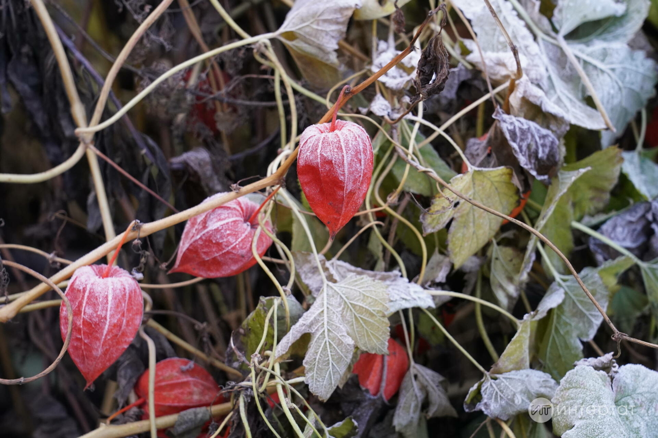 Атна уртасында кисәк кенә җылытачак, аннары суыта башлый