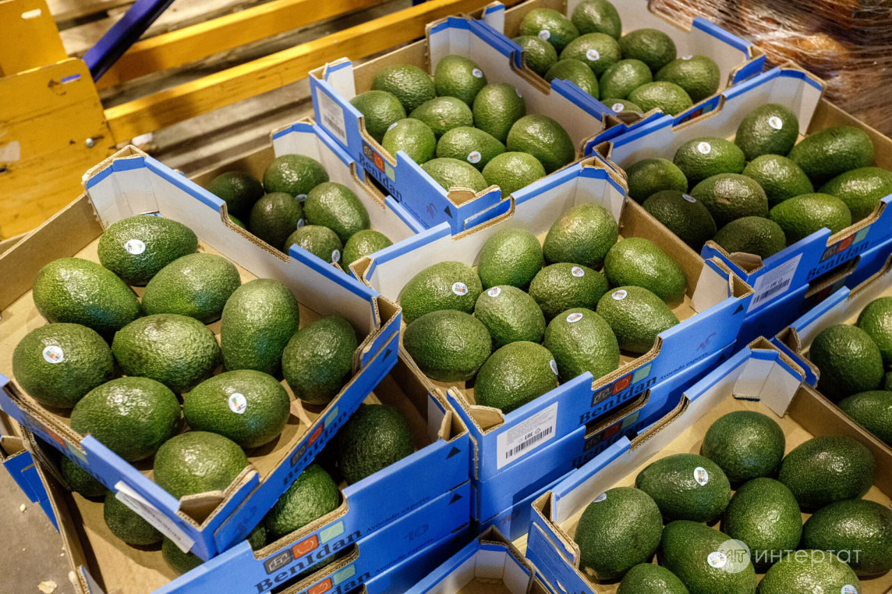 Табиб организмны холестериннан чистарта һәм шикәрне киметә торган ризыкны атады