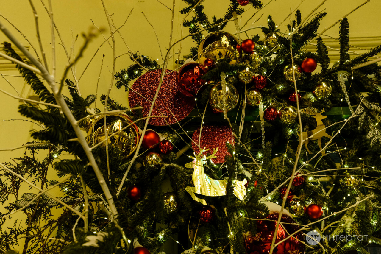 Татарстанда Яңа ел бәйрәмнәренә 2 меңләп чыршы әзерләгәннәр