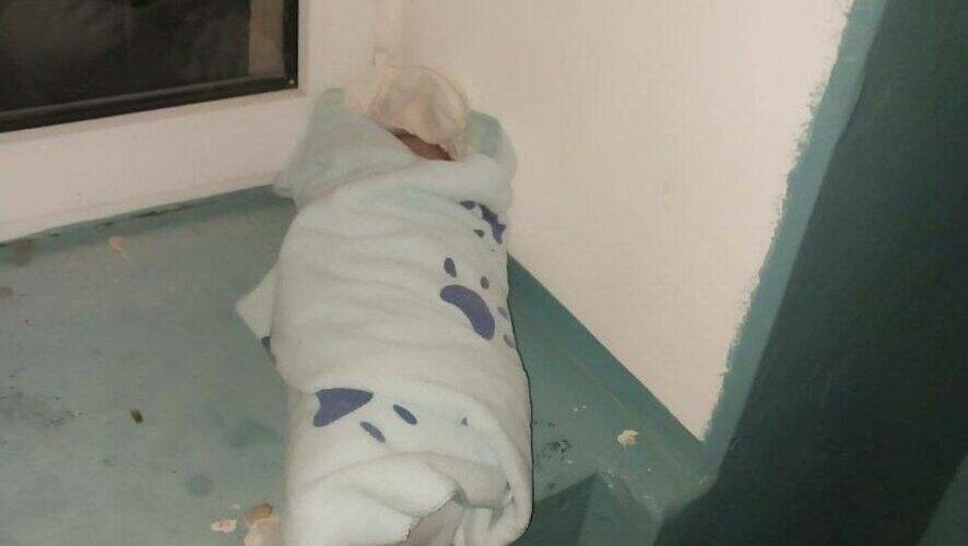 Әлмәттә подъездда ташлап калдырылган сабый шул көнне иртән туган булган