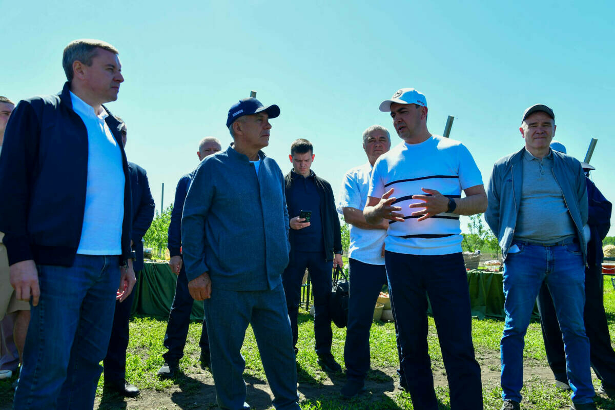 Татарстанда яңа программа әзерләнә: «Авылда тормыш булсын өчен, атлар кирәк»