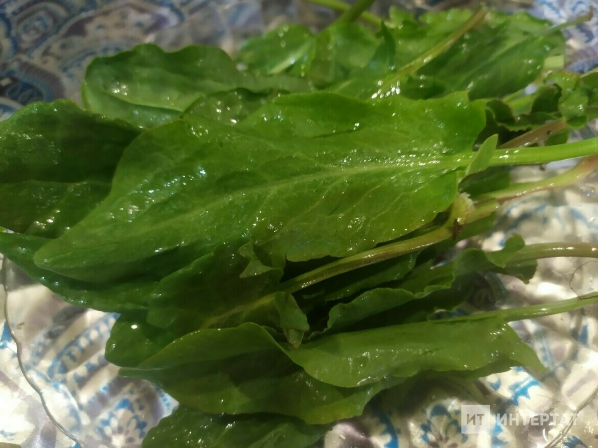 Кузгалаклы окрошка рецепты