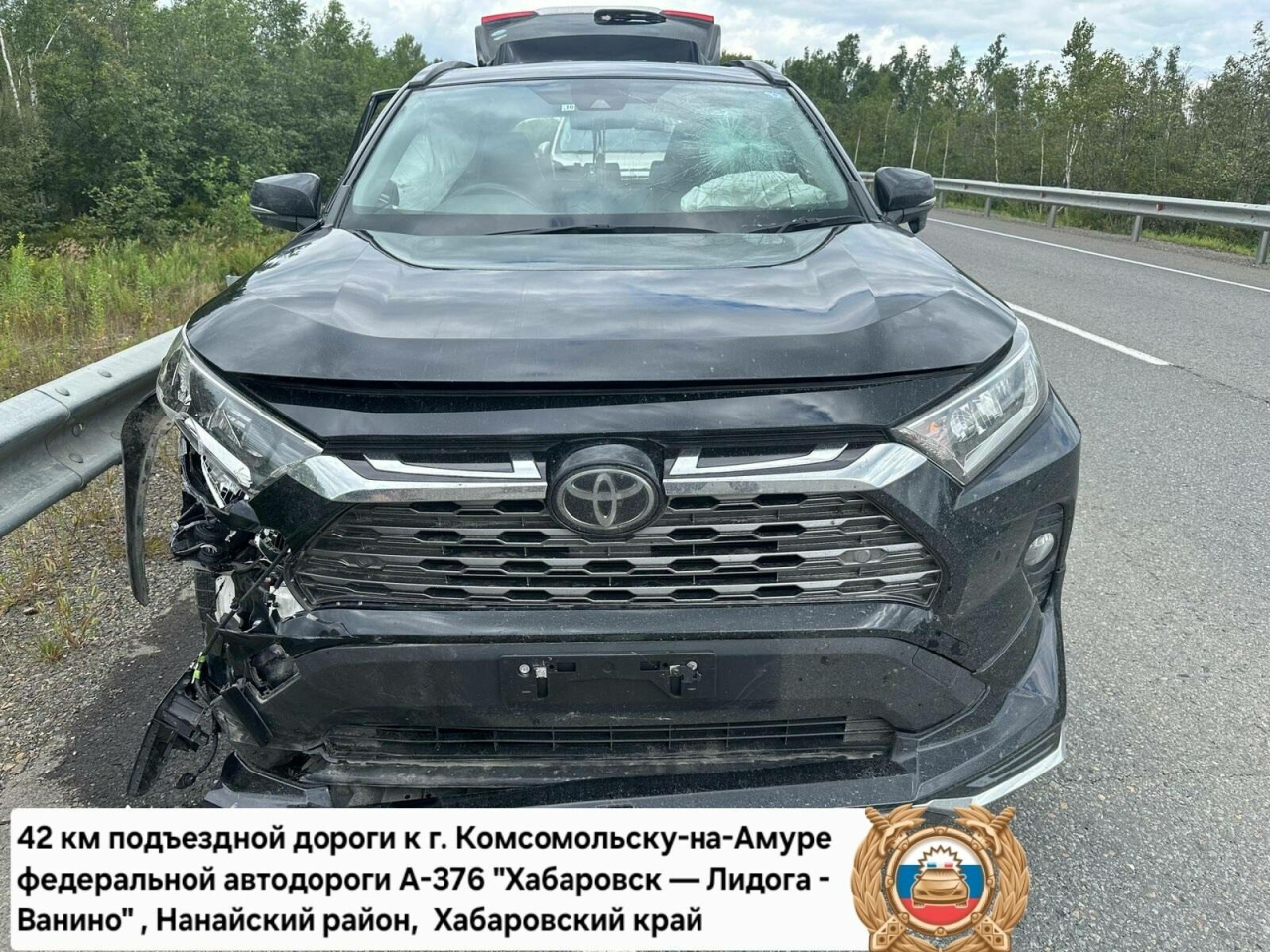 Автотрассага чабып чыккан аю машинага бәрелеп үлгән