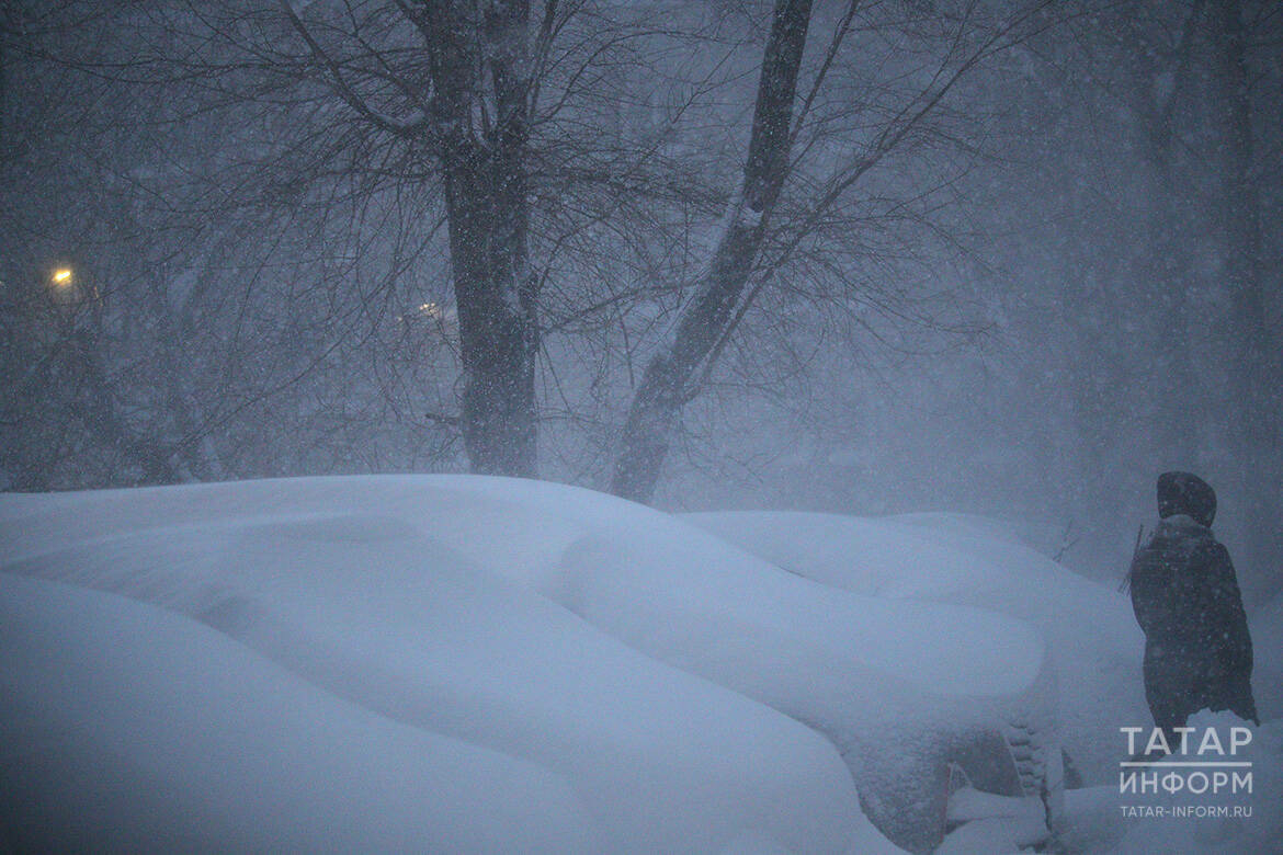 Шәхси йорт тирәсендә карны көрәмәсә, хуҗага ничә сум штраф салалар?