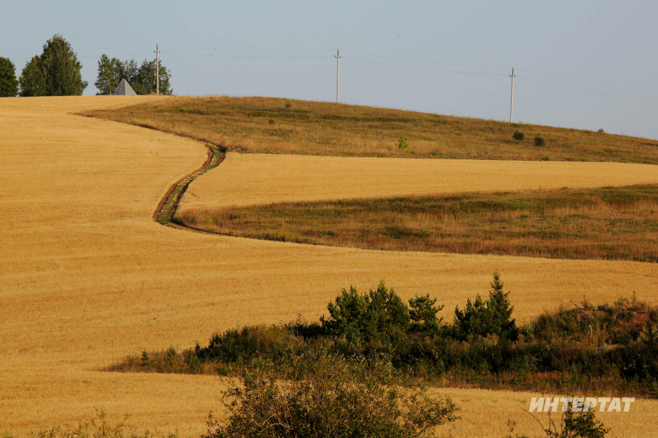 Татарстанда җитештерелгән авыл хуҗалыгы продукциясе күләме 400 млрд сумнан арткан